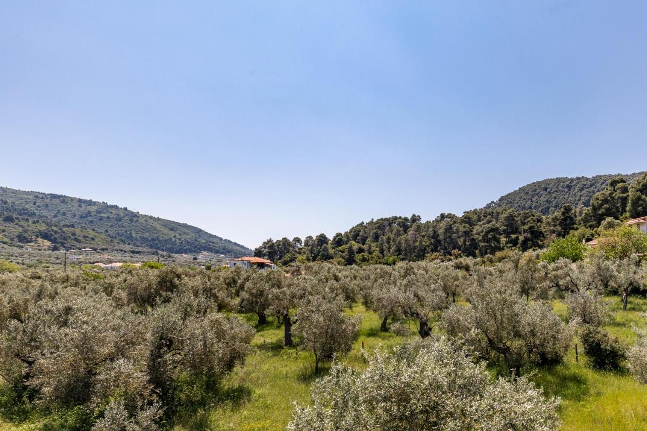 Estia A - Studios & Apartments Σκόπελος Εξωτερικό φωτογραφία
